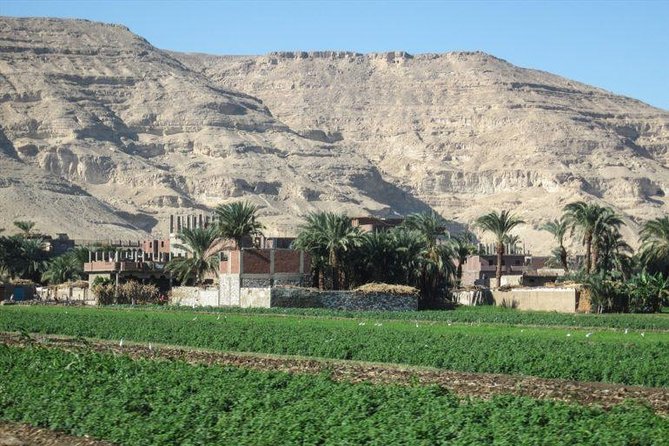 A Week of Fun in Egypt - Delicious Egyptian Cuisine