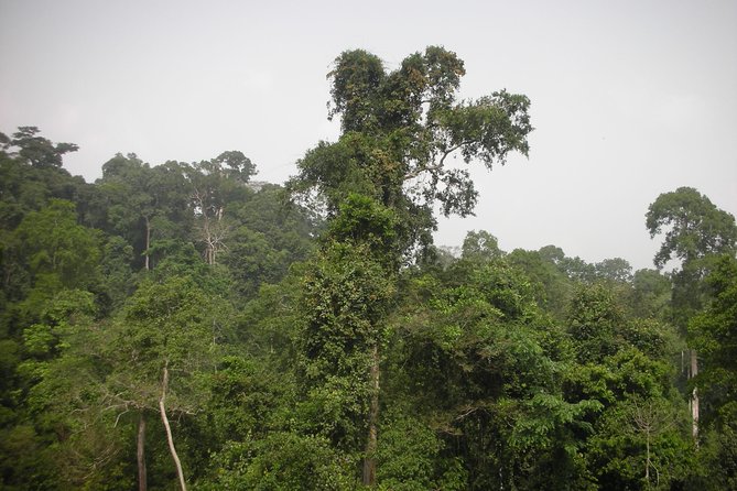Aburi Gardens Transfers