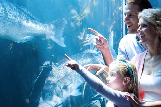 Access Entrance Ticket to AquaRio Aquarium - Including Transport and Ticket - Package Inclusions