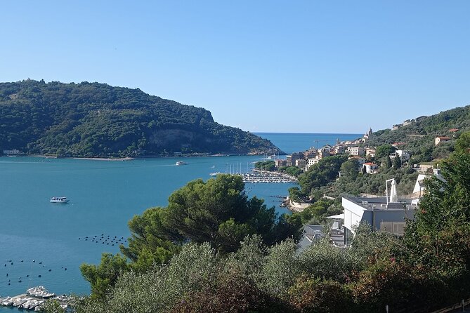 Accessible Cinque Terre & Pisa Private Tour From Livorno Port