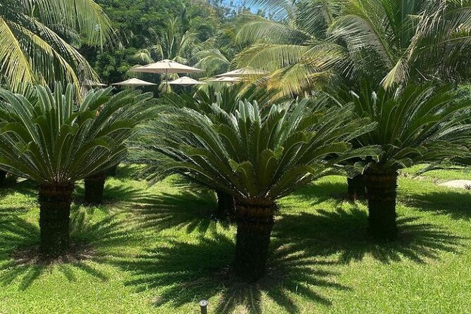 Ada Treasure Island And Safari Experience - Tour Schedule