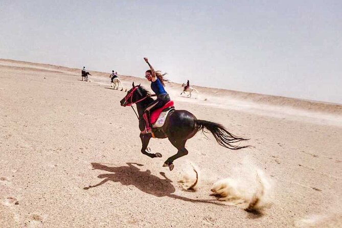 ADVENTURE SAFARI BY HORSE IN Hurghada Duiring Sunset Or Sunrise - Tour Overview