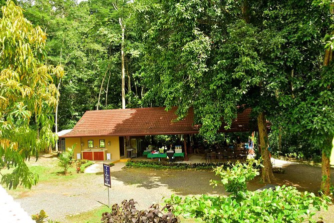 Adventure Shore Excursion Day Trip From Puntarenas and Caldera - Exciting Activities Offered