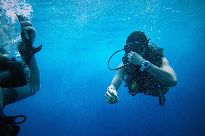 Adventure Snorkeling Tour to Ras Mohamed by Bus