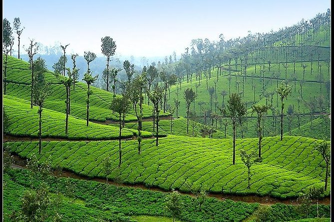 Adventurous Valparai Trip From Kochi - 2 Days Trip - Itinerary Details