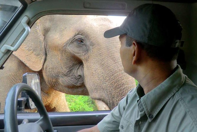 Afternoon Safari to Wilpattu National Park - Meeting and Pickup