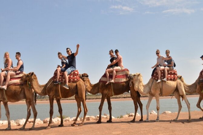 Agadir Camel Ride Experience With BBQ Include - Pickup Information