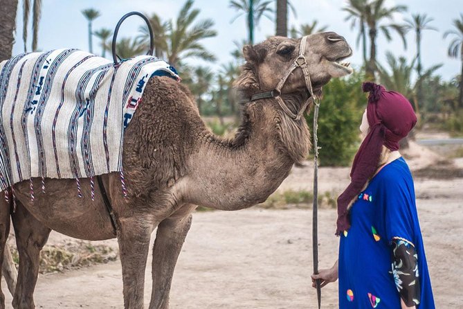 Agadir Camel Riding Sunset Time + Barbecue BBQ 5pm to 9pm - Overview of Camel Riding Experience