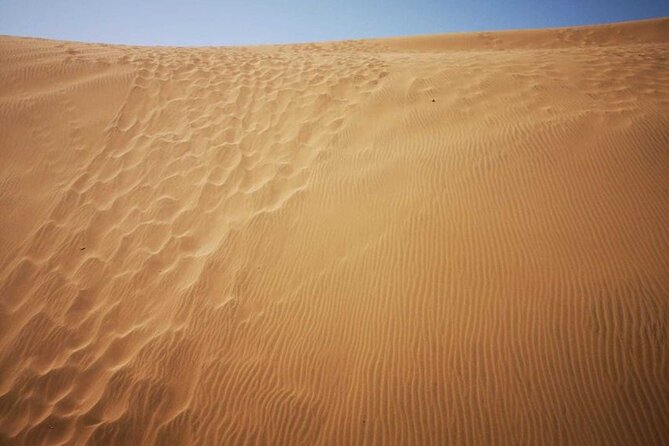 Agadir Day Trip to Timlalin Dunes and Paradise Valley - What To Expect