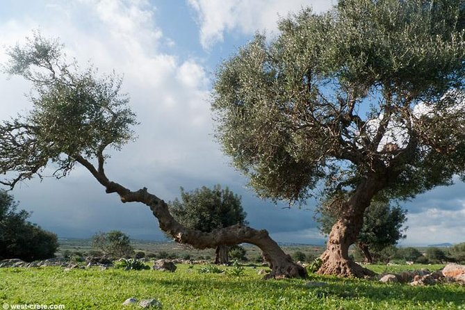 Agia Triada,Stavros,Venizelos Graves Tour/ Wheelchair Accessible - Pickup Information and Details