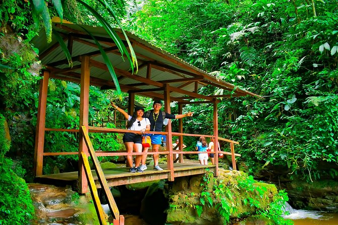 Ahuashiyacu Waterfall Half Day Tour
