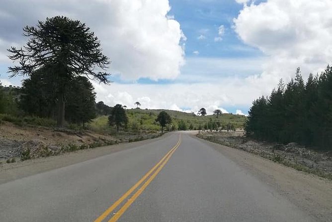 Airport – Villa Pehuenia Argentina