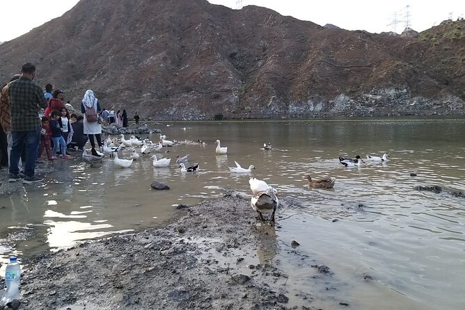 Al Rafisah Dam Tour Near Dubai With Private Transfers - Overview of Al Rafisah Dam