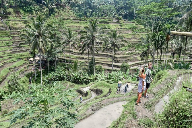 All BEST NATURE, Culture and Heritage: Private Tour in UBUD - Itinerary Overview