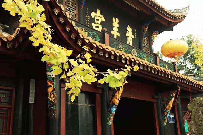 All Inclusive Chengdu Private Day Tour to Panda Breeding Base Andcity Highlights