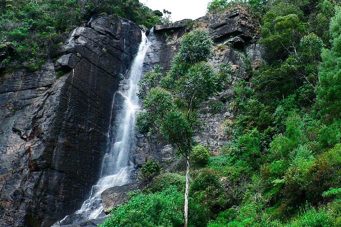 All Inclusive - Explore Countryside of Nuwara Eliya by Tuk-Tuk - Pickup Information and Expectations