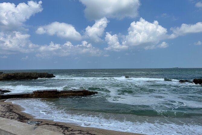 All Inclusive Private Tour Alexandria Including Greek Museum - Tour Location