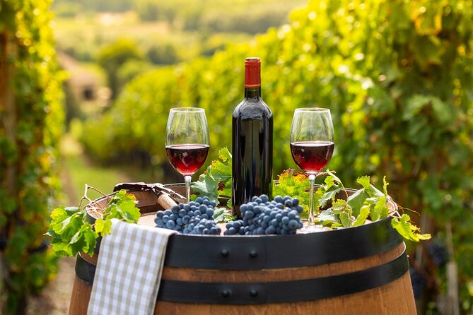Alsace Wine Odyssey: Full-Day Private Tour From Strasbourg - Tour Overview