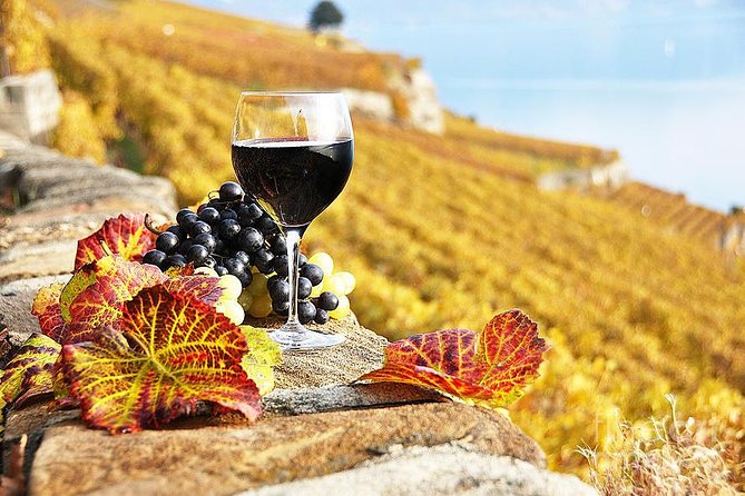 Amarone Wine Tour - Tour Confirmation Details