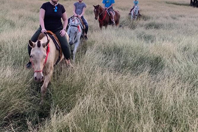 Amazing Horseback Riding in the Tropical Forest - Wildlife Observations and Group Size