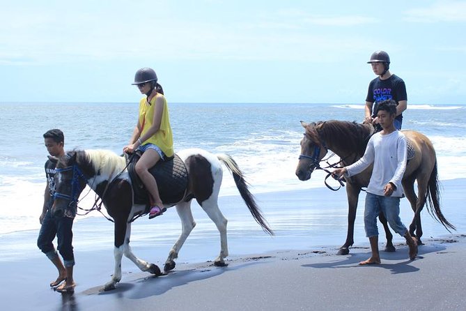 Amazing Private Tour: Horse Riding-Kintamani Volcano-Tegalalang-Tirta Empul