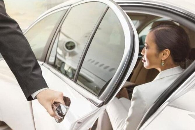Amman Airport Shuttle Service To Petra - Overview of Shuttle Service
