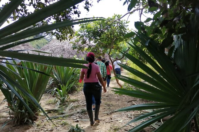Ancestral Thought Tour (Indigenous Life in Kogui People) Santa Marta
