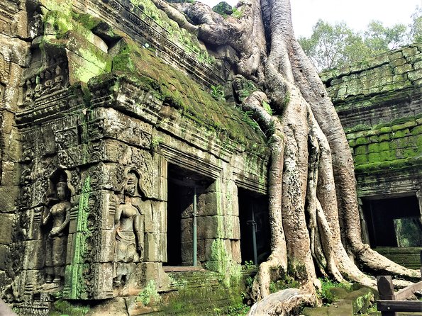 Angkor Wat Sunrise Bayon Ta Prohm by Shared Tour.