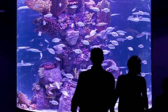 Antalya`S Aquarium Guided Day Tour - Tour Highlights
