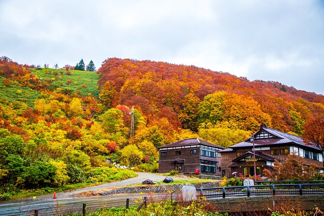 Aomori Custom Full Day Tour - Inclusions