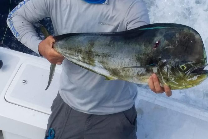 AquaQuepos Sport Fishing, 3/4 Day Offshore Fishing