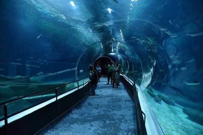 Aquarium With Olympic Boulevard Rio De Janeiro - AquaRio Overview
