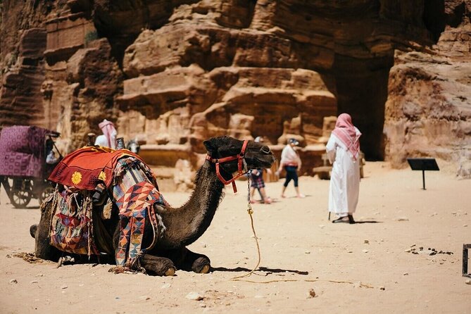 Arabian Horse/Camel Riding ;Private Special Guided Tour - Tour Details