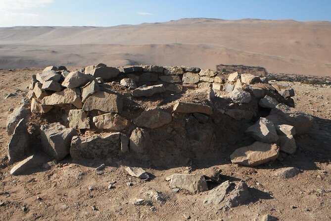 Archeological Sightseeing Tour in Arica
