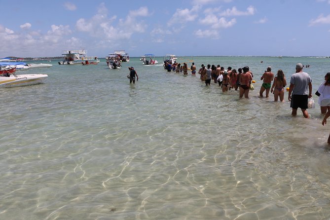 Aries Beach Private Tour - Group 1 to 6 PAX - Leaving Maragogi