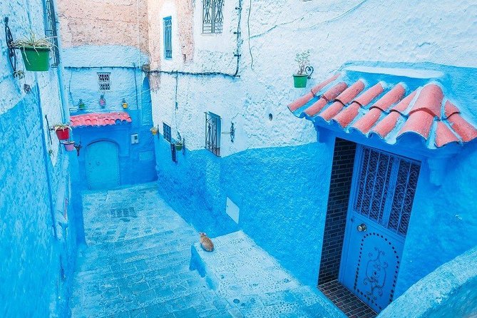 Around and in Chefchaouen : One Day Private Excursion From Fez