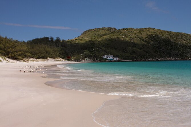 Arraial Day Trip With Boat Tour And Lunch - Overview of the Day Trip