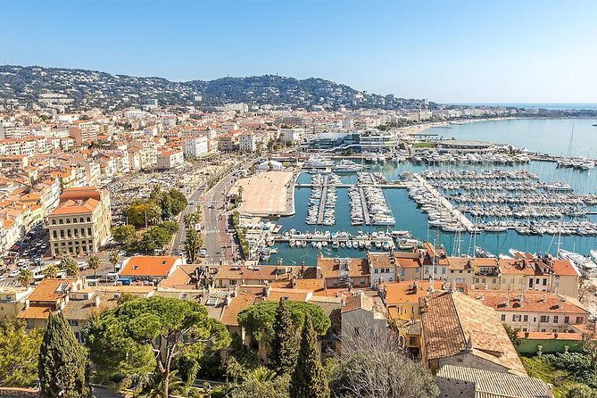 Arrival Transfer: Nice Airport NCE to Cannes in Luxury Van - Transfer Details