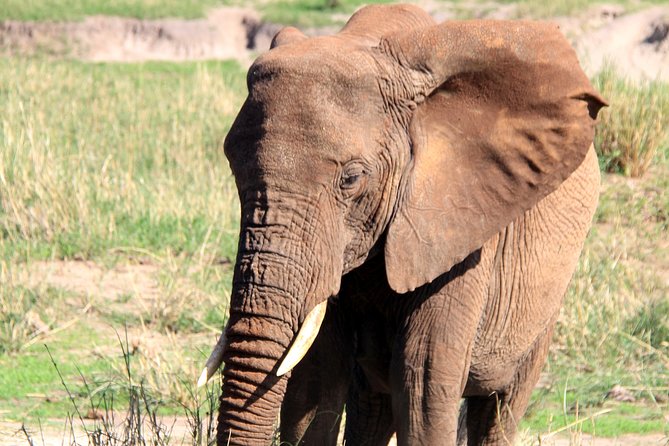 Arusha National Park Day Tour