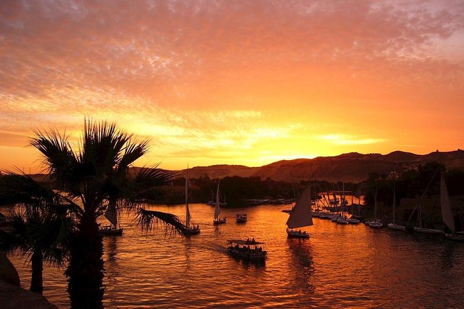 Aswan City Tour by Horse Carriage - Inclusions