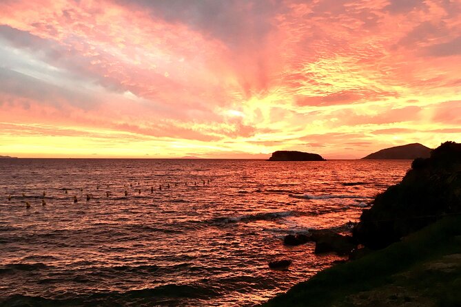 Athens Tour Off The Beaten Track Marathon Vravrona and Sounio - Tour Overview