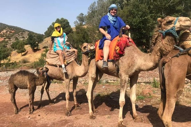 Atlas Mountain & Camel Ride, Day Trip From Marrakech - Pickup Information
