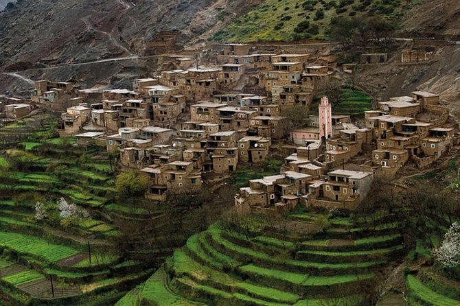Atlas Mountains and Essaouira in 1 Night Private Tour From Marrakesh
