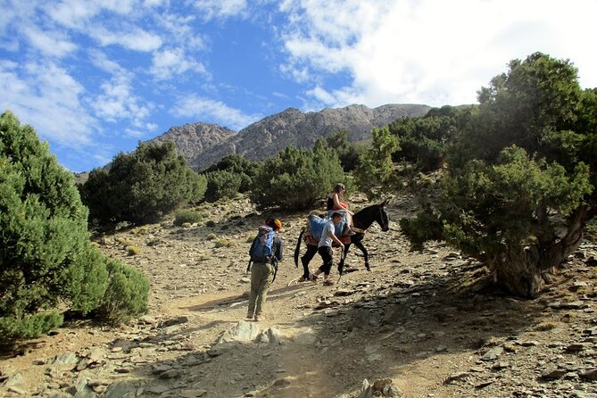 Atlas Mountains and Mule Ride Day Tour From Marrakech - Tour Inclusions