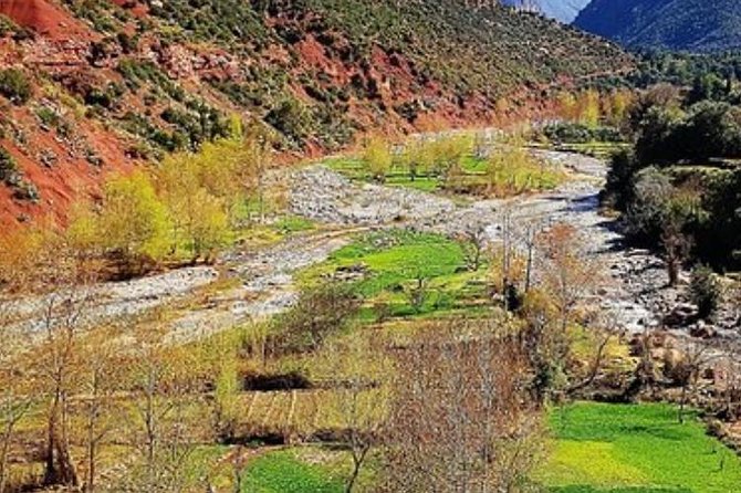 Atlas Mountains, Berber Villages, Live Like a Local: Private Tour From Marrakech - Transportation Details