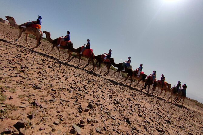 Atlas Mountains Journey, Camel Ride, Berber Villages & Waterfalls