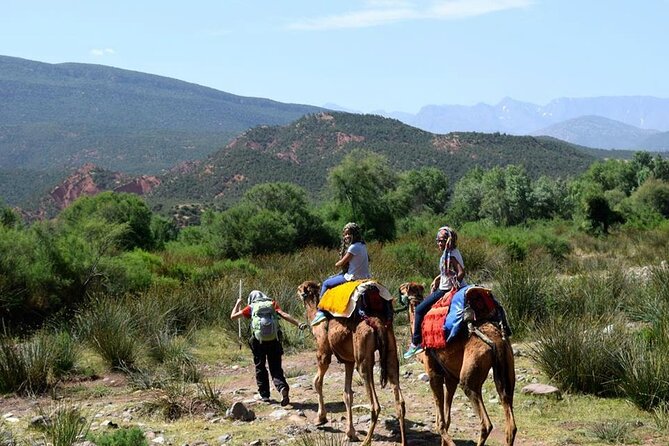 Atlas Mountains & Three Valleys With Camel Ride - Tour Highlights