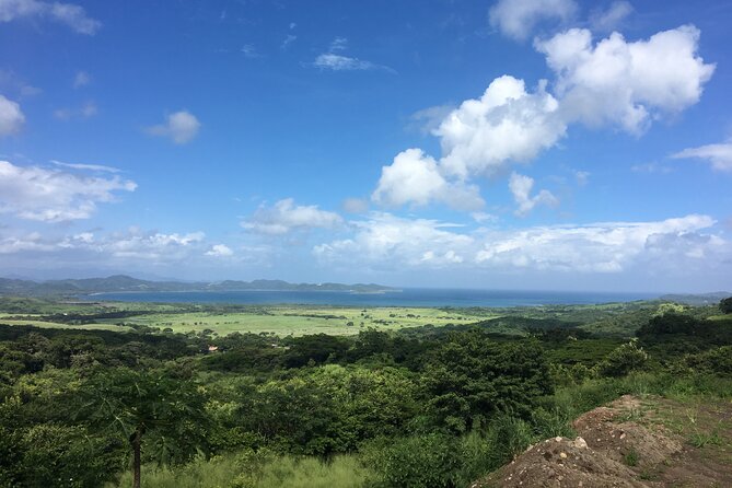 ATV or UTV Tour Offroad From Dreams Las Mareas - Overview of the Tour