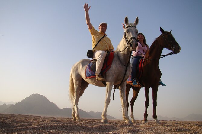 ATV Quad Bike Safari and 2 Hours Horse Riding With Transfer in Hurghada - Activity Details