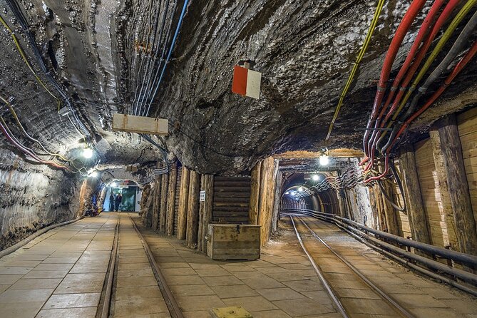Auschwitz-Birkenau and Wieliczka Salt Mine Full Day Tour - Additional Information